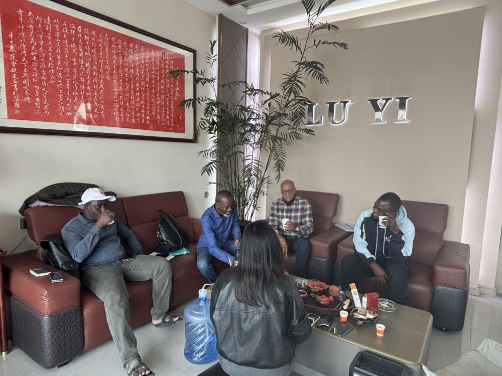 Hur Luyi Auto hjälpte en nigeriansk byggkund att förbättra transport av tung utrustning med 12 skräddarsydda 40 tons lågbäddssläp