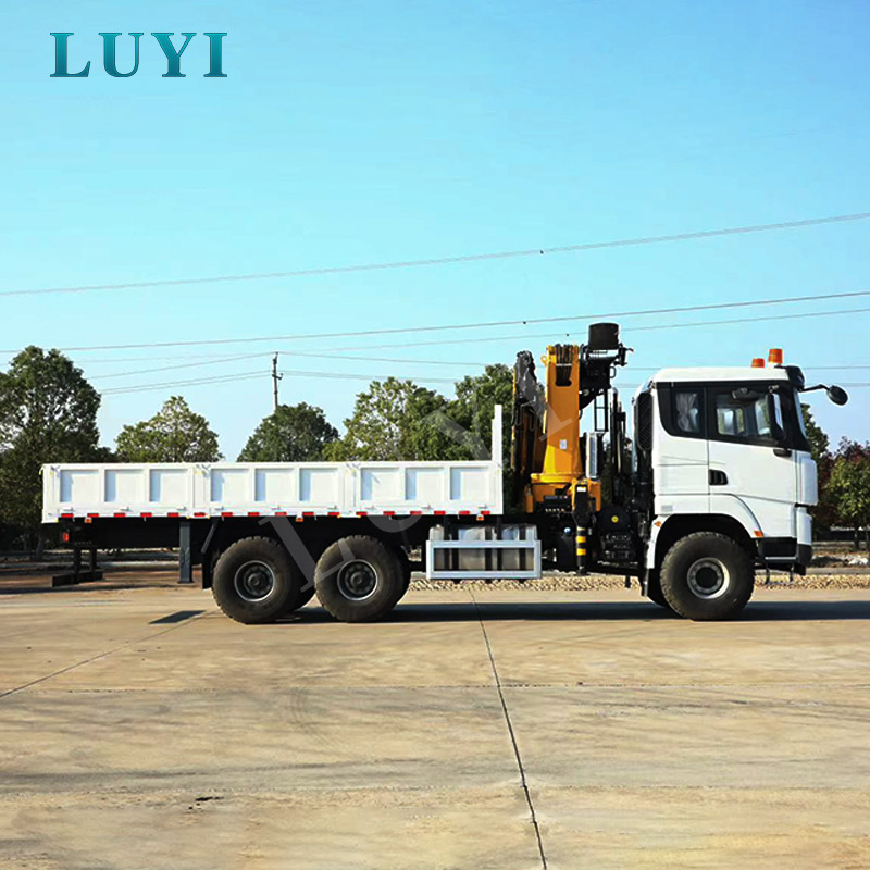 Shacman 4-axlig styrspindelbom Krantruck 25 ton CE Construction Certificati